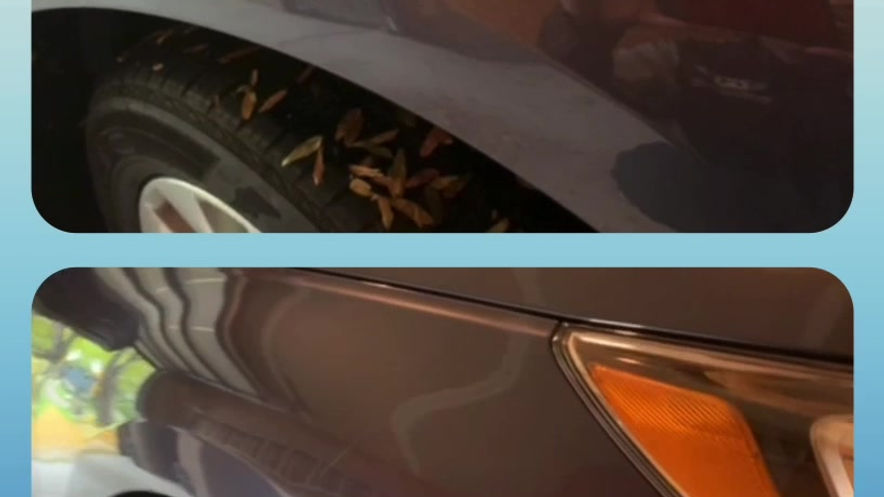 Fender Dent Repair Subaru